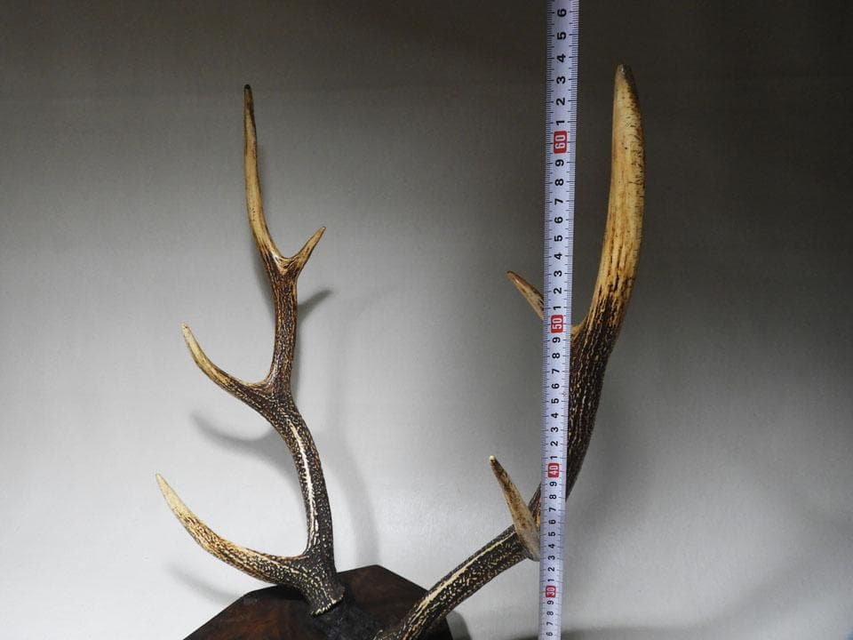 ●逆賊の幕臣 小栗忠順 小栗上野介忠順 所要 墨書 鹿角 刀掛け 三刀掛け 幕末