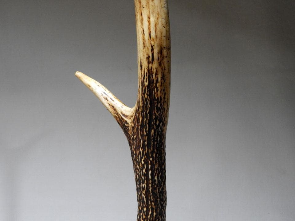 ●逆賊の幕臣 小栗忠順 小栗上野介忠順 所要 墨書 鹿角 刀掛け 三刀掛け 幕末