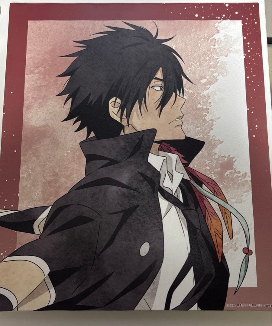 家庭教師ヒットマンREBORN! XANXUS ザンザス　歩み　キャンバス