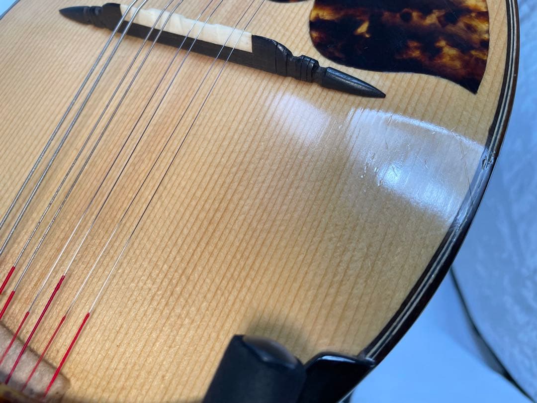 渡辺/ワタナベ ハイエンドオーダーマンドリン