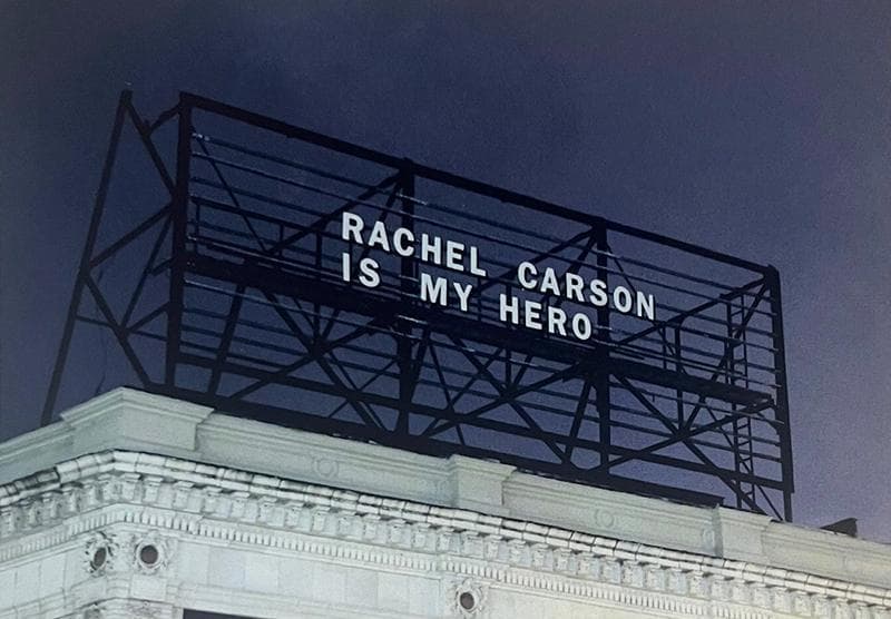 マット額装品/David Horvitz /デヴィッド・ホーヴィッツ