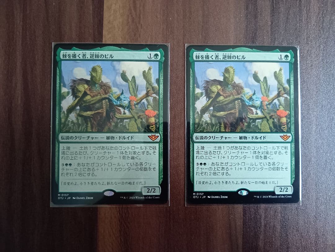 棘を播く者、逆棘のビル　日本語2枚