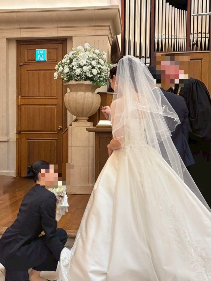 【美品】ANV-9 ALPHA BLANCA ラメベール ロング