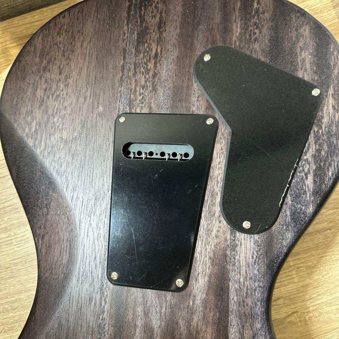 PRS SE CE24 Standard Satin Charcoalケース付