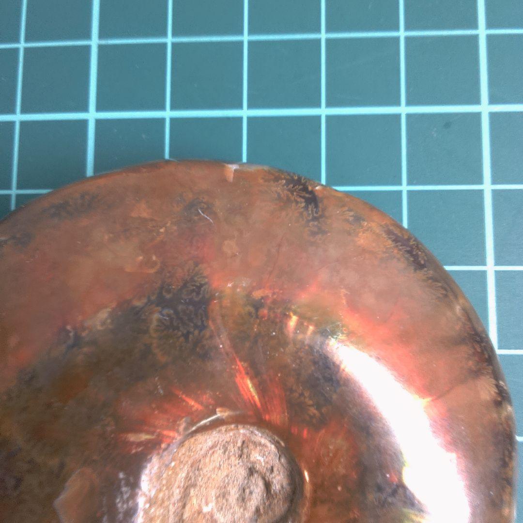 小物１ アンモナイト化石 赤褐色