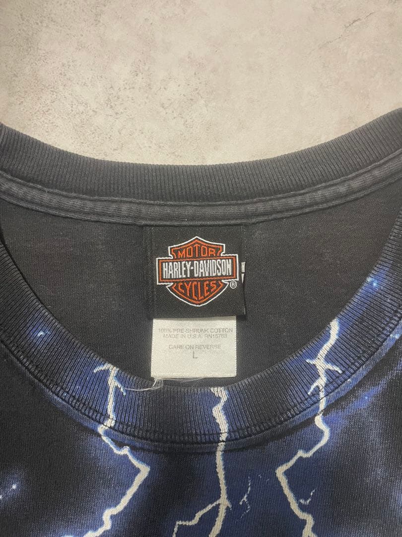 激レア！90sハーレーTシャツ！ブルーフレーム！