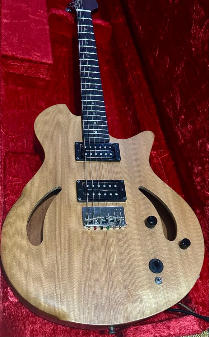 dragonfly maroon koppa コンポギター