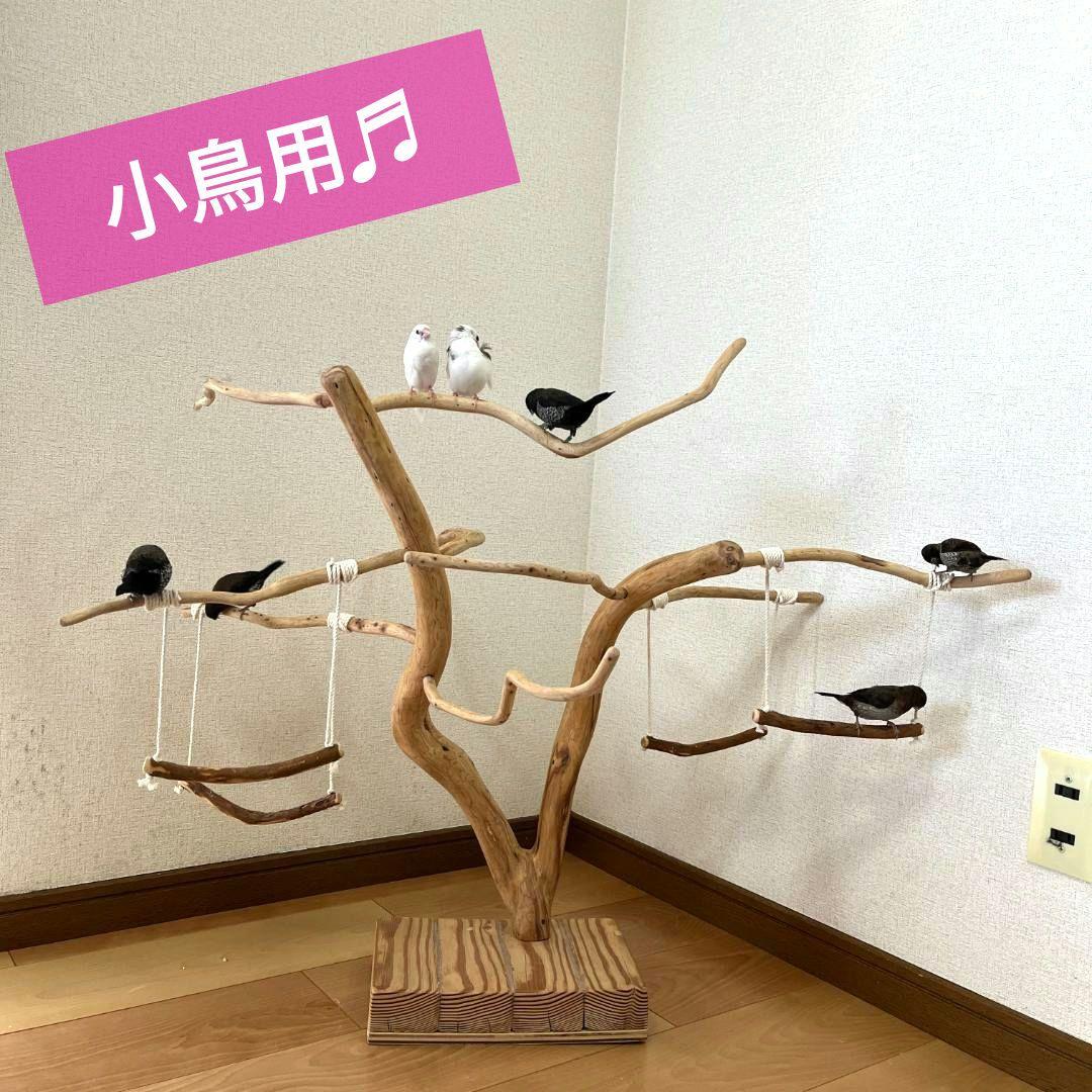 【小鳥用】ブランコ付くねくねバードアスレチック