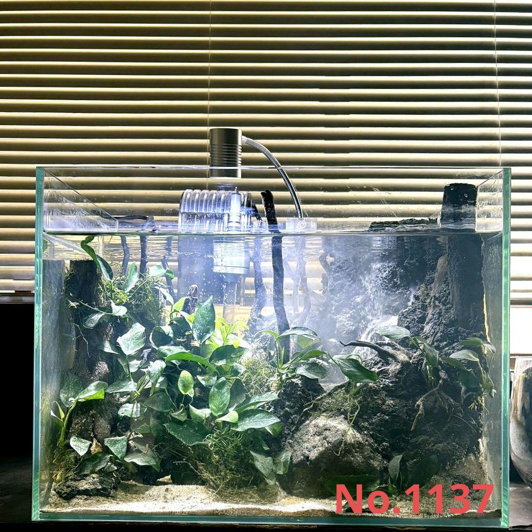 砂の滝の流れるアクアテラリウム　アクアリウム　No.1137