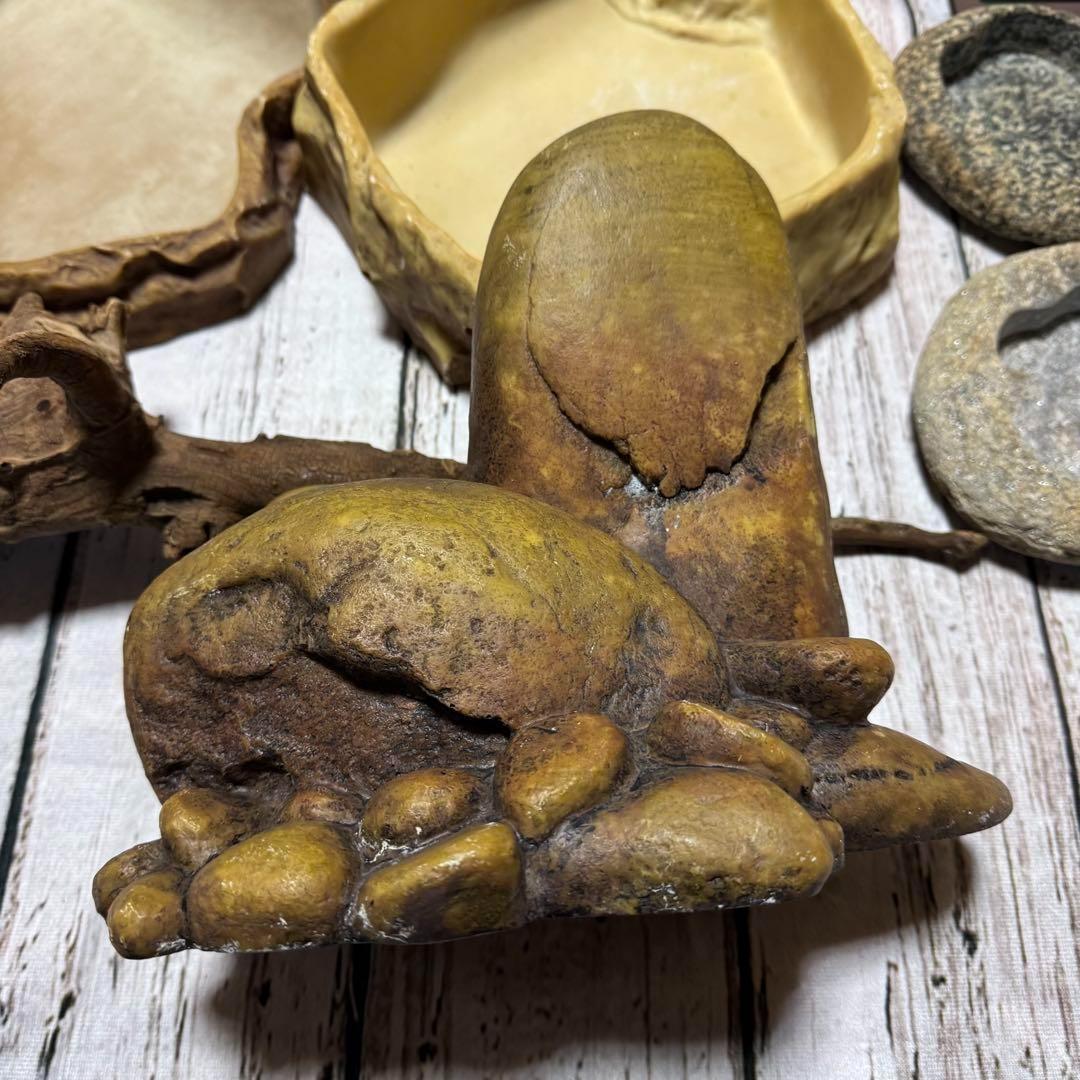 超お買い得セット　匿名配送　送料無料　飼育用品セット　餌皿　エキゾテラ　ボックス