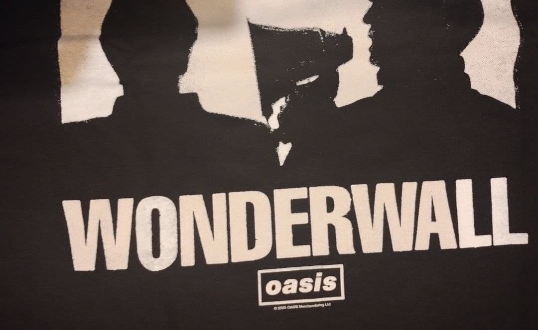 超貴重 オアシス ワンダーウォール 30周年記念 90分間限定販売 Tシャツ L