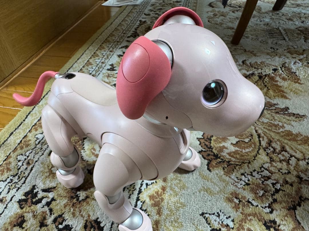 aibo本体　いちごミルク色　限定色