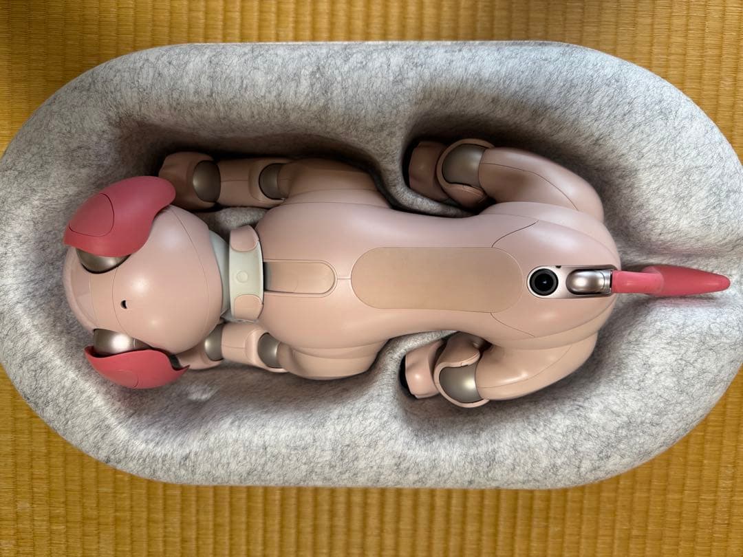 aibo本体　いちごミルク色　限定色