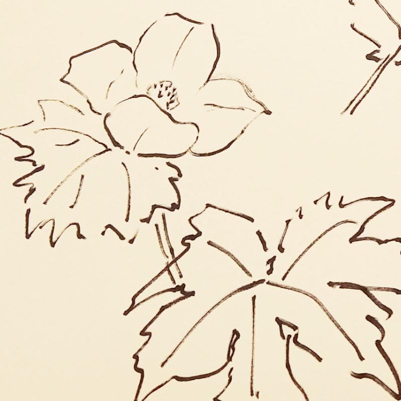 ☆坂本直行☆「 しらねあおい（庭の桜満開の日に）」ペン画！