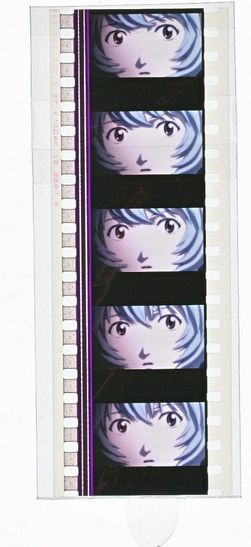 エヴァンゲリオン 劇場版　公式特典　本物　正規品　レイ　2 フィルム