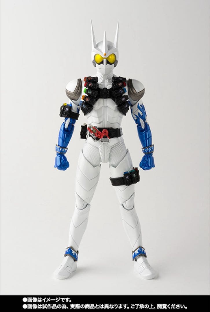 S.H.Figuarts（真骨彫製法） 仮面ライダーエターナル