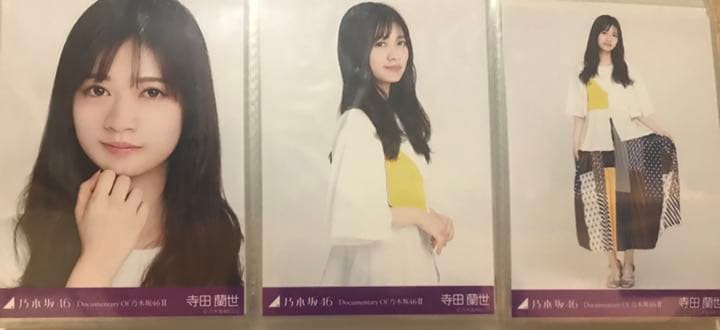 乃木坂46 生写真 寺田蘭世 まとめ売り 引退品 73コンプ