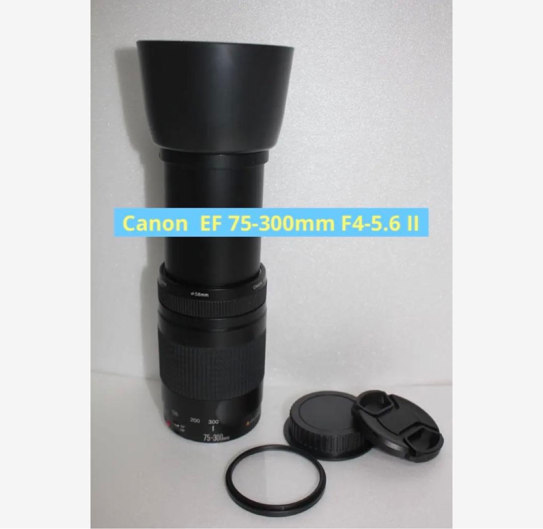 ☆デジタル一眼レフカメラ☆Canon EF75-300㎜　II☆