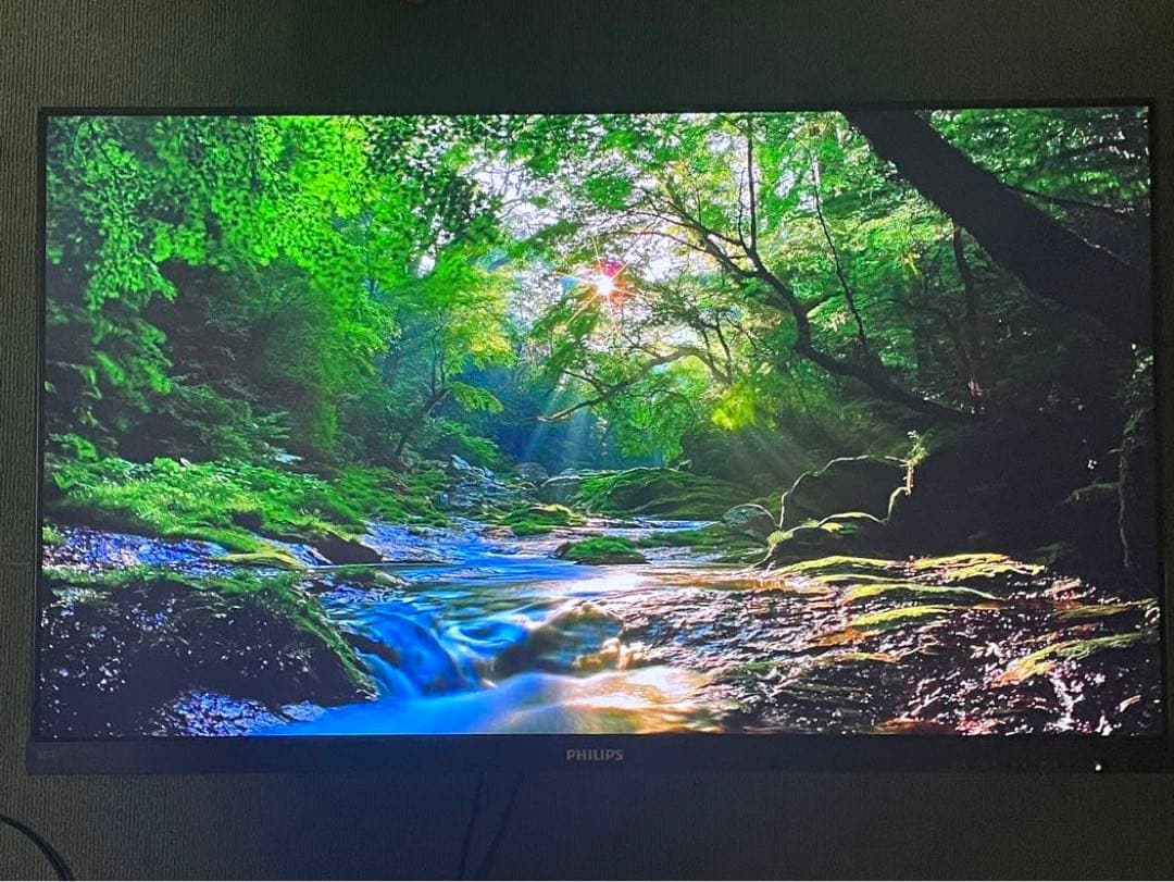 し*よ様 PCモニター 27インチ 271E1D11 PHILIPS