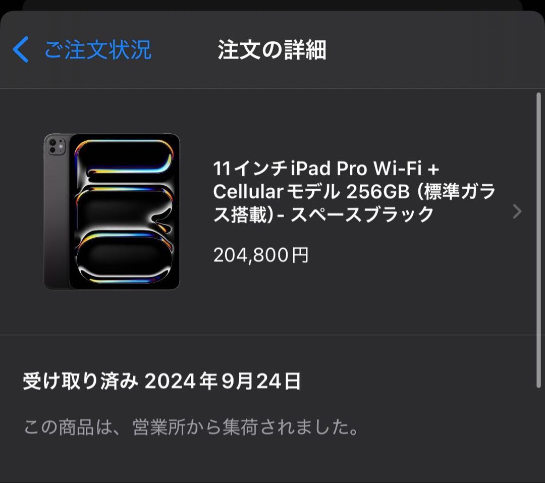 iPad Pro11 M4 256GB セルラー Pencil付