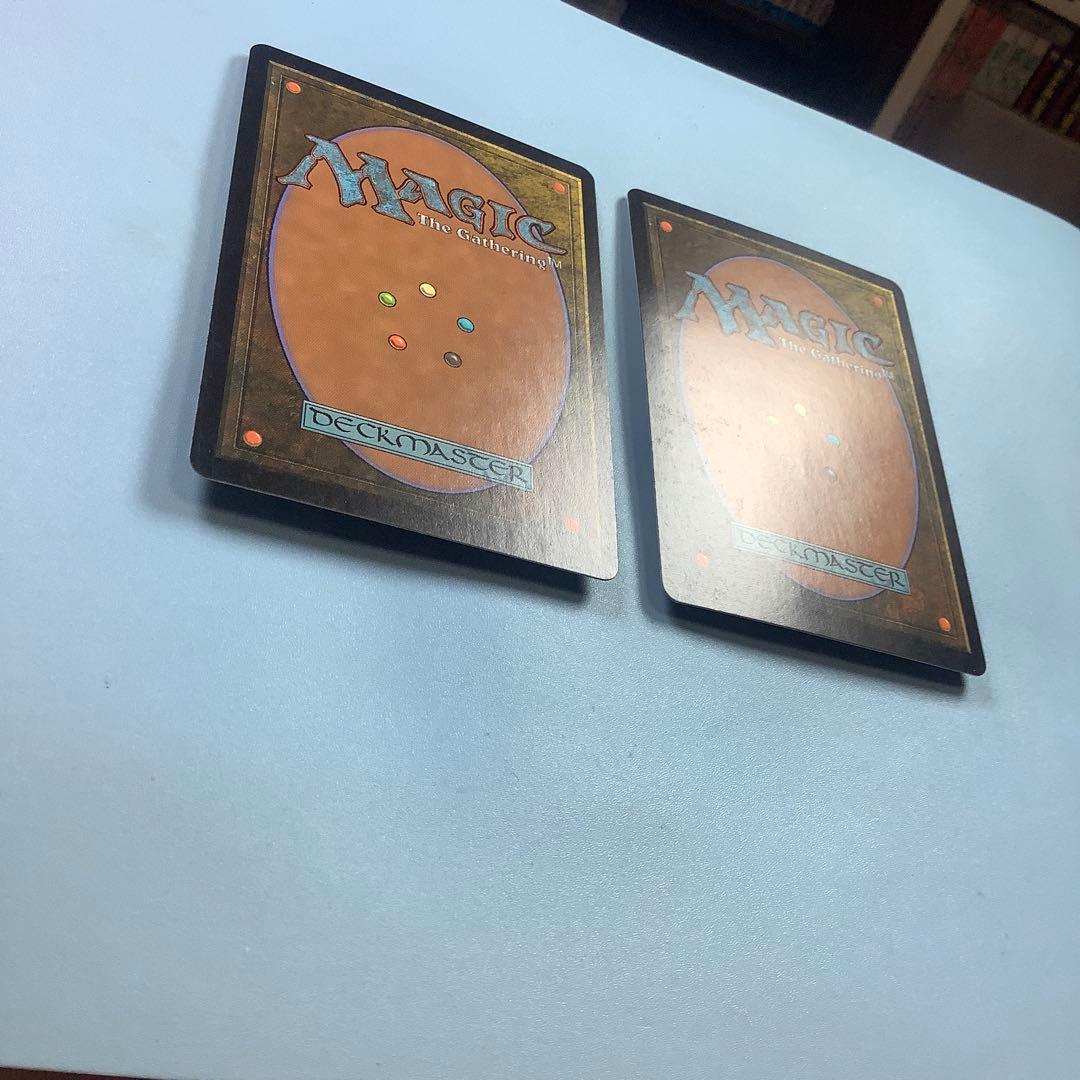 樹木茂る山麓/Wooded Foothills ONS日本語2枚セット