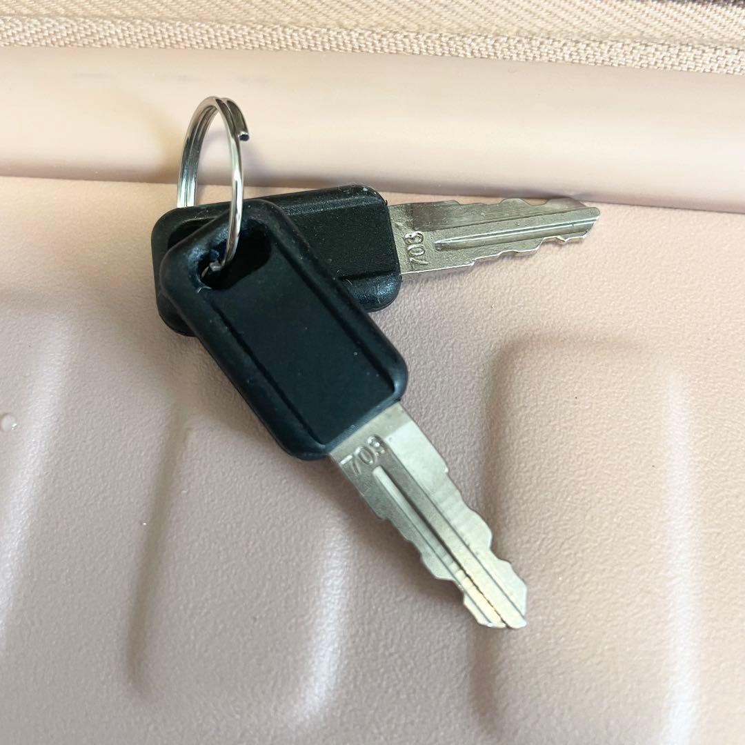 LOJEL ロジェール CUBO キューボ スーツケース ROSE S