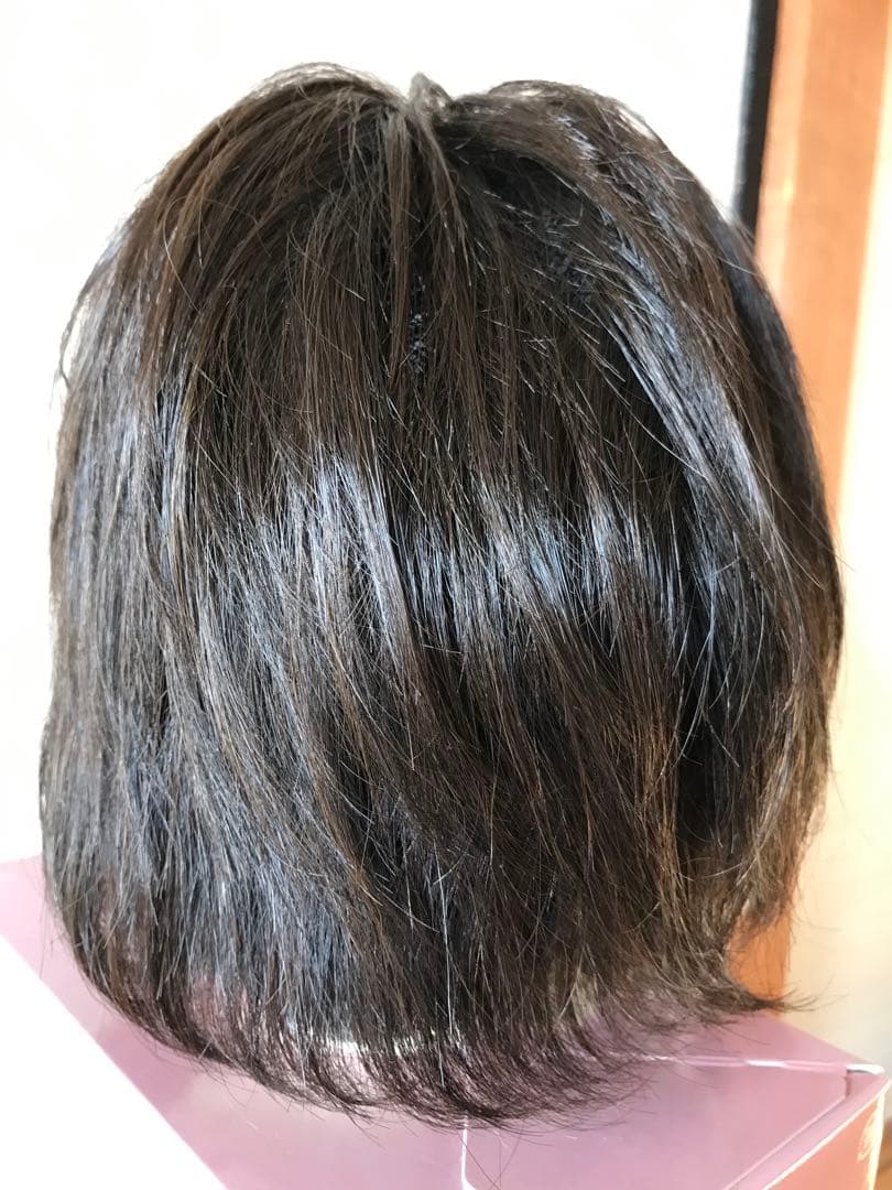 フェザー レオンカウィッグ EX-15 F2モダアクリル人毛