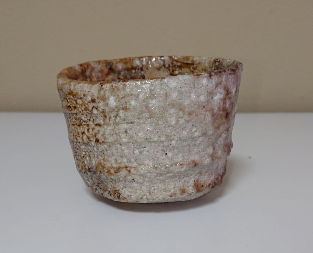 澤清嗣 信楽 ぐい呑