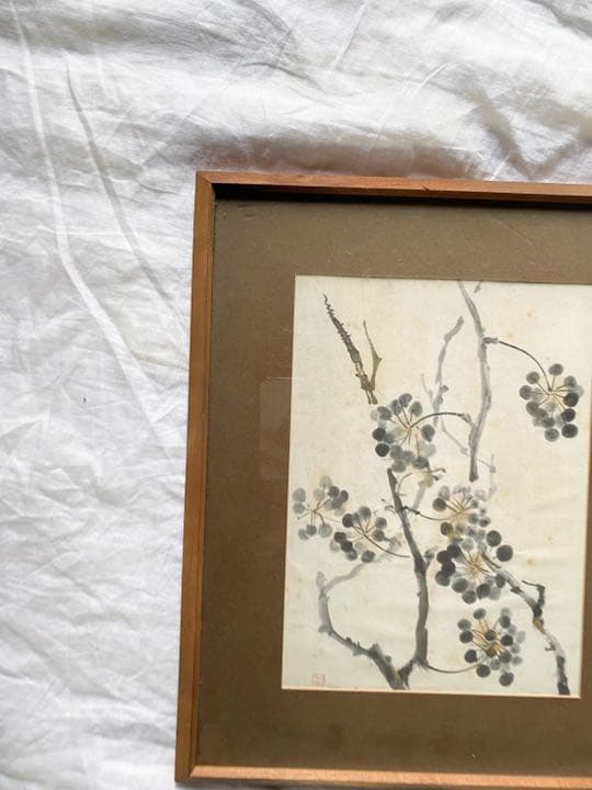 つる草の絵　吉田武聖