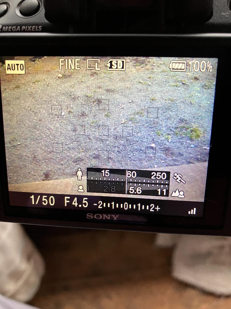 ソニーデジタル一眼レフカメラ　α550　DSLR-A550　ジャンク扱いで