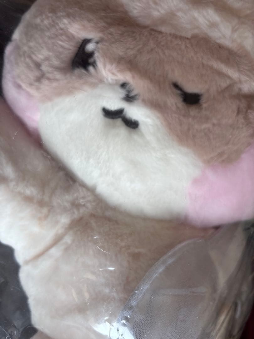 出回りなし　zerobaseone zeroni ゼベワン　ゼロニ　ハニニ