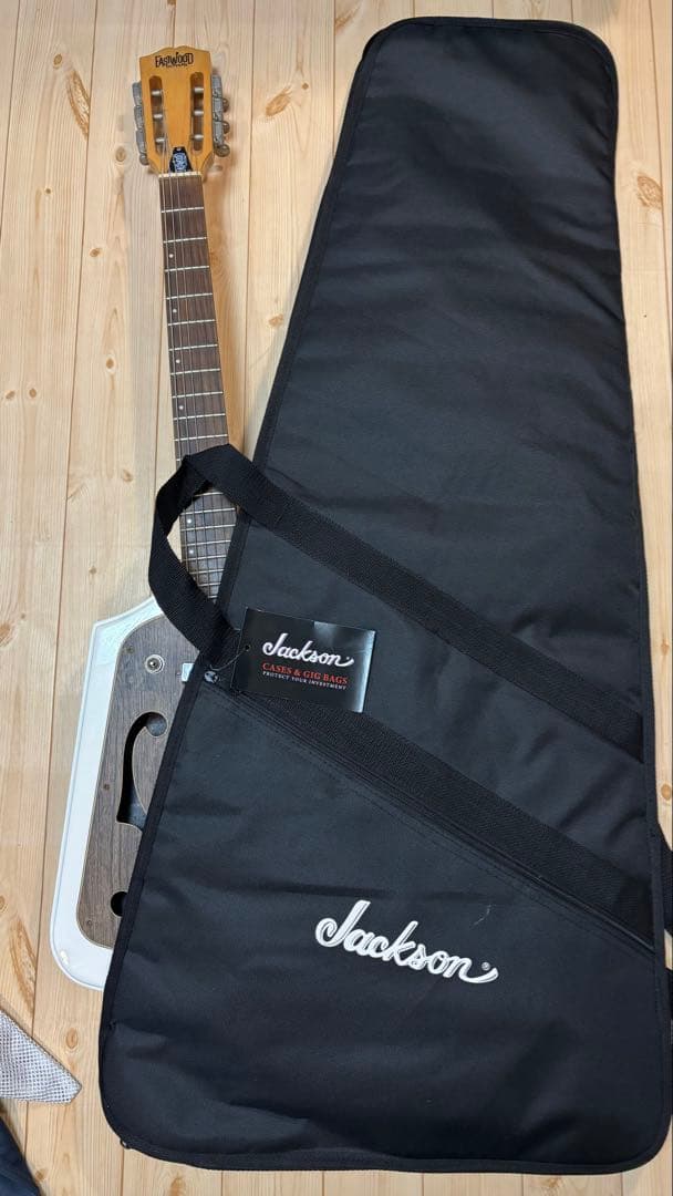 ギター Eastwood Guitars California rebel