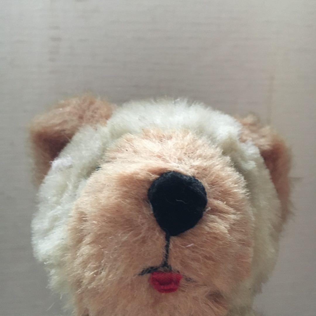 アンティークテディベア