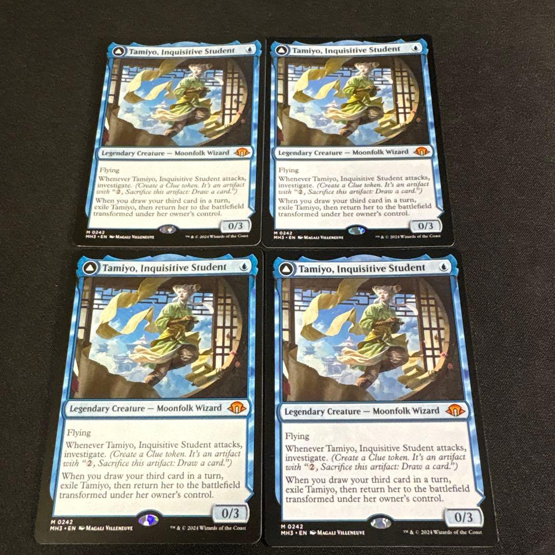 知りたがりの学徒、タミヨウ　英語　４枚