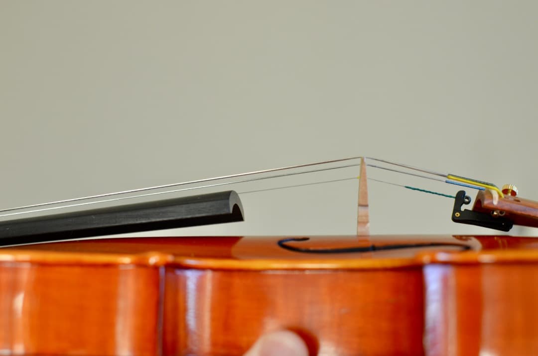 【銘品】ピグマリウス バイオリン ST-03 カスタム 4/4＋アルシェ弓