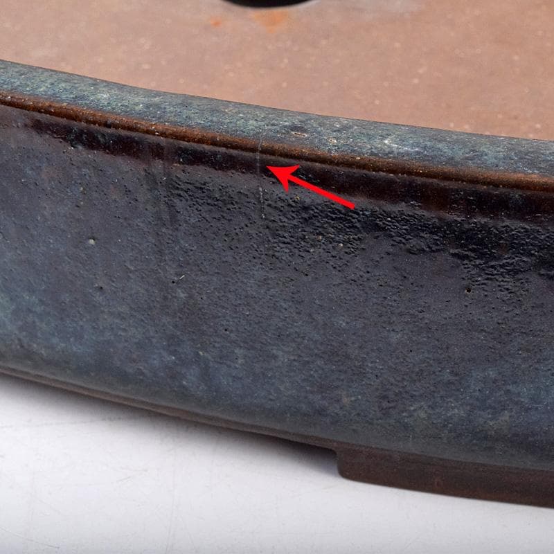 中国　清源豊國製造　紫砂　朱泥　海鼠釉　楕円盆栽鉢　植木鉢　M　R8987B