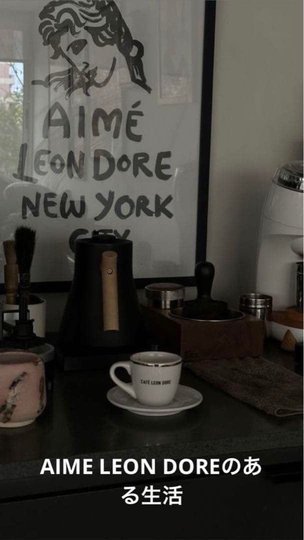 新品　AIMÉ LEON DORE NEW YORK CITY ポスター