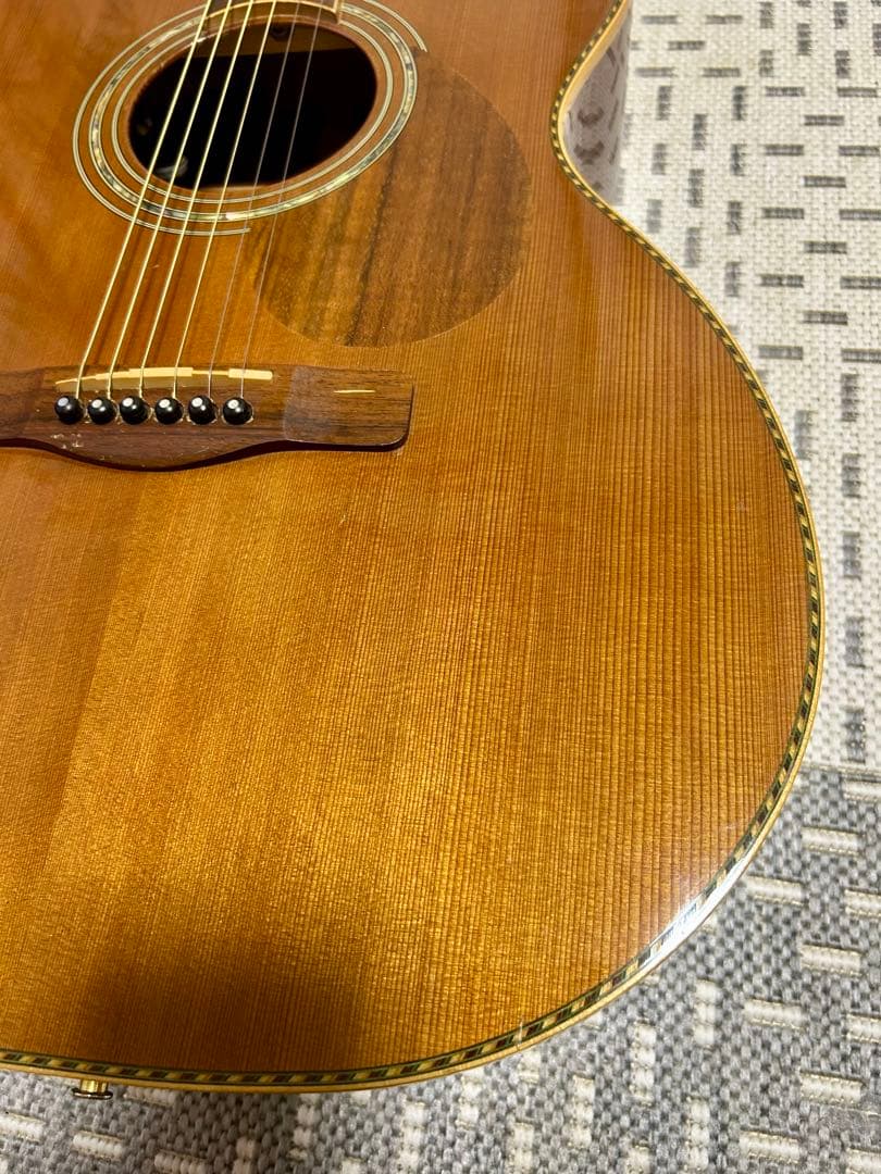 GREG BENNETT design SAMICHエレアコ(OM-15CE)