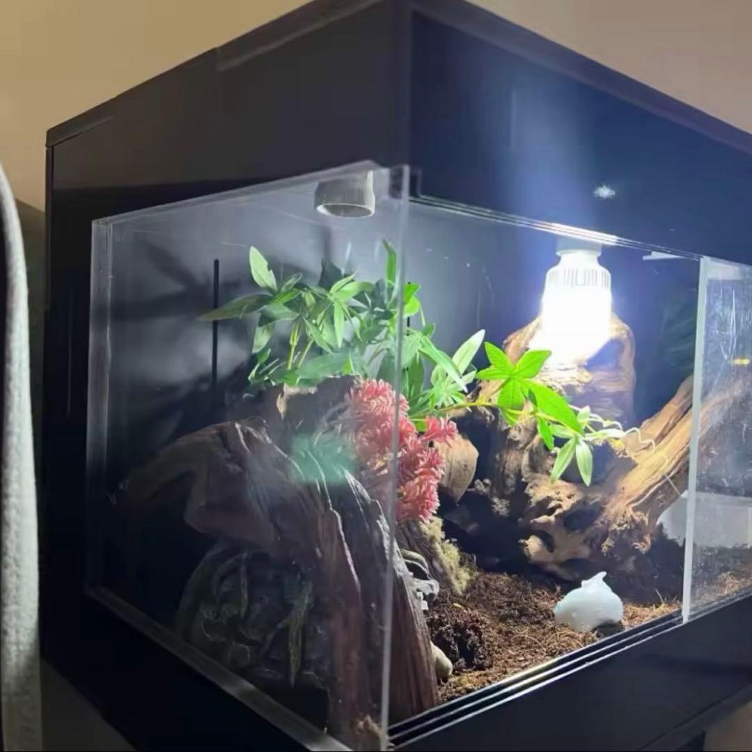 爬虫類　用　ケージ　温暖調整機能付き　ライトバルブ2つ＋温室調整バルブ1つ