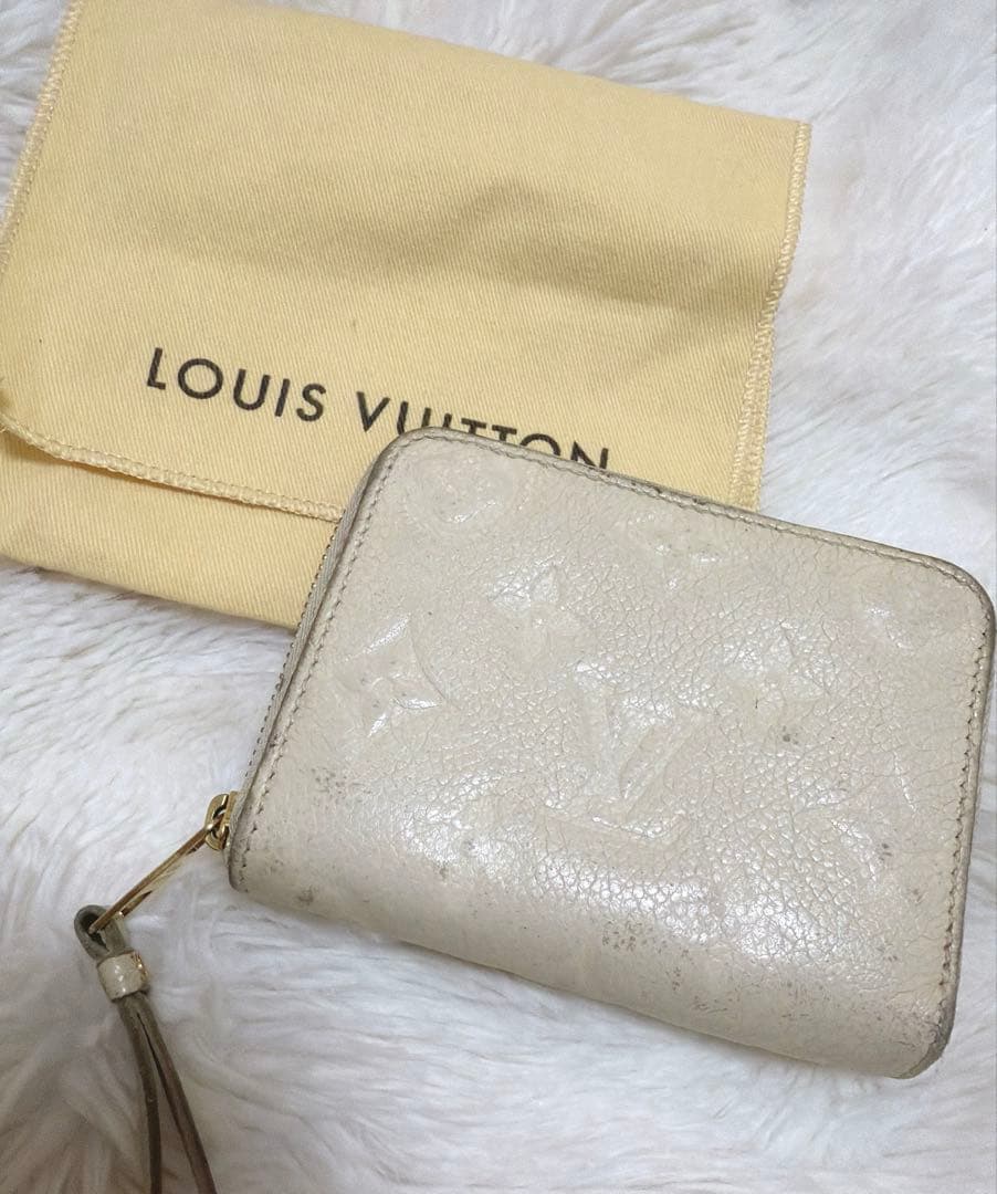 LOUIS VUITTON アンプラント　ケース