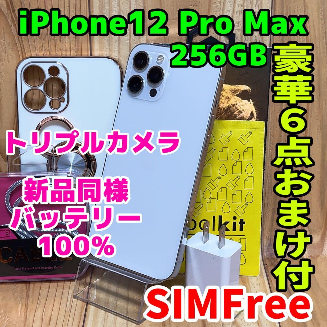 SIMフリー 本体 iPhone 12 Pro Max 256 GB 163