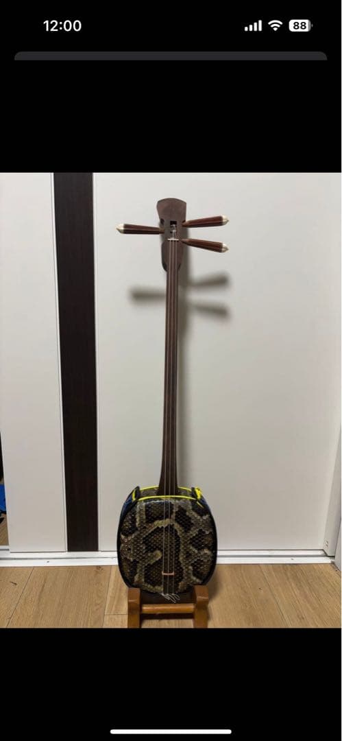 沖縄三線　久場の骨　山原ユシの実