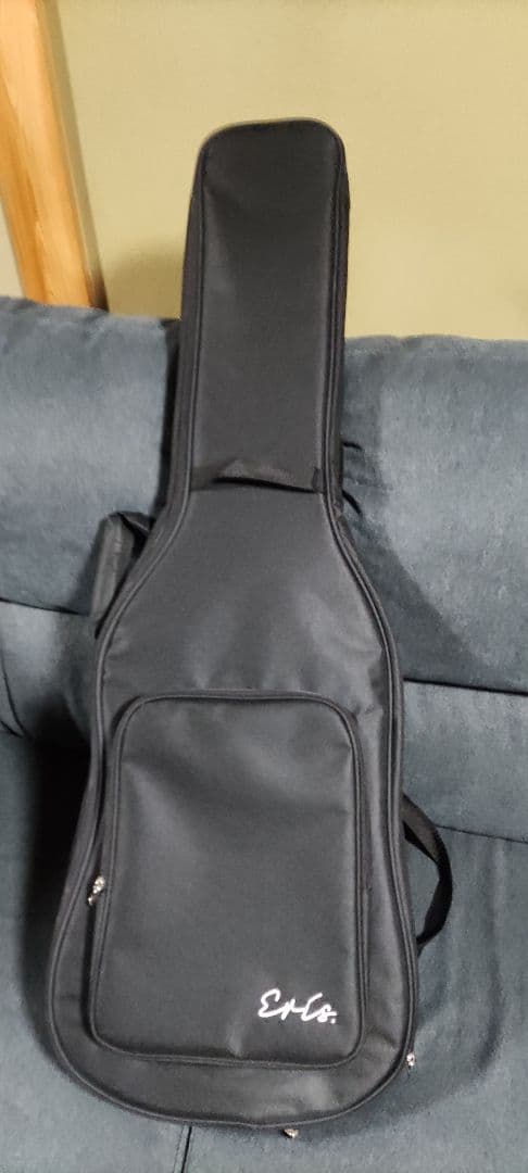 Eris. Nestia エレキギター