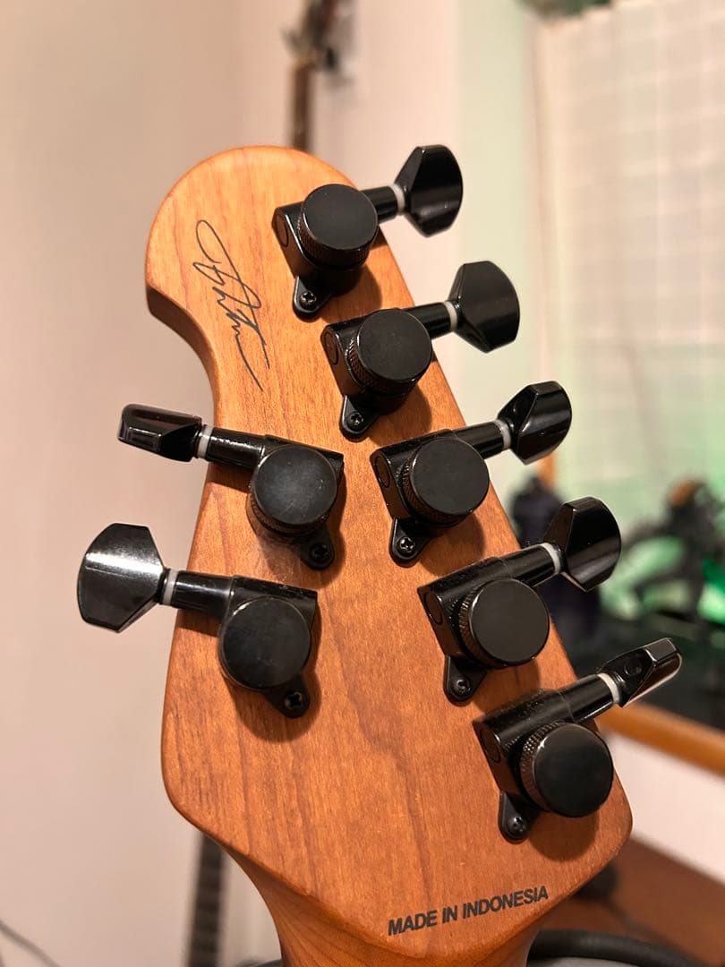 ギター Tsuyoshi Yamaguchi Richardson7