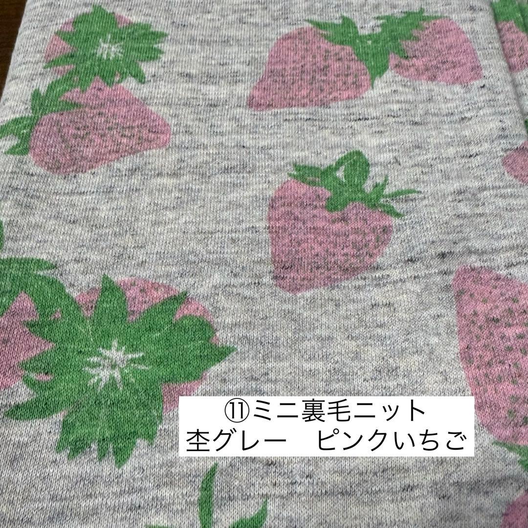 ⑲確認用ページ　ニット生地　ハンドメイド　犬服　フレブル　小型犬