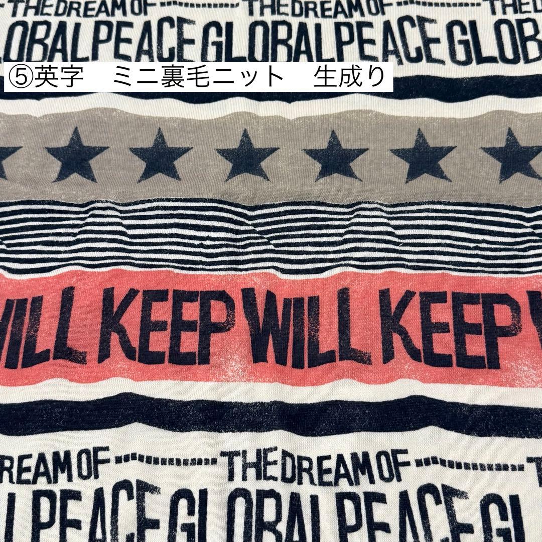 ⑲確認用ページ　ニット生地　ハンドメイド　犬服　フレブル　小型犬