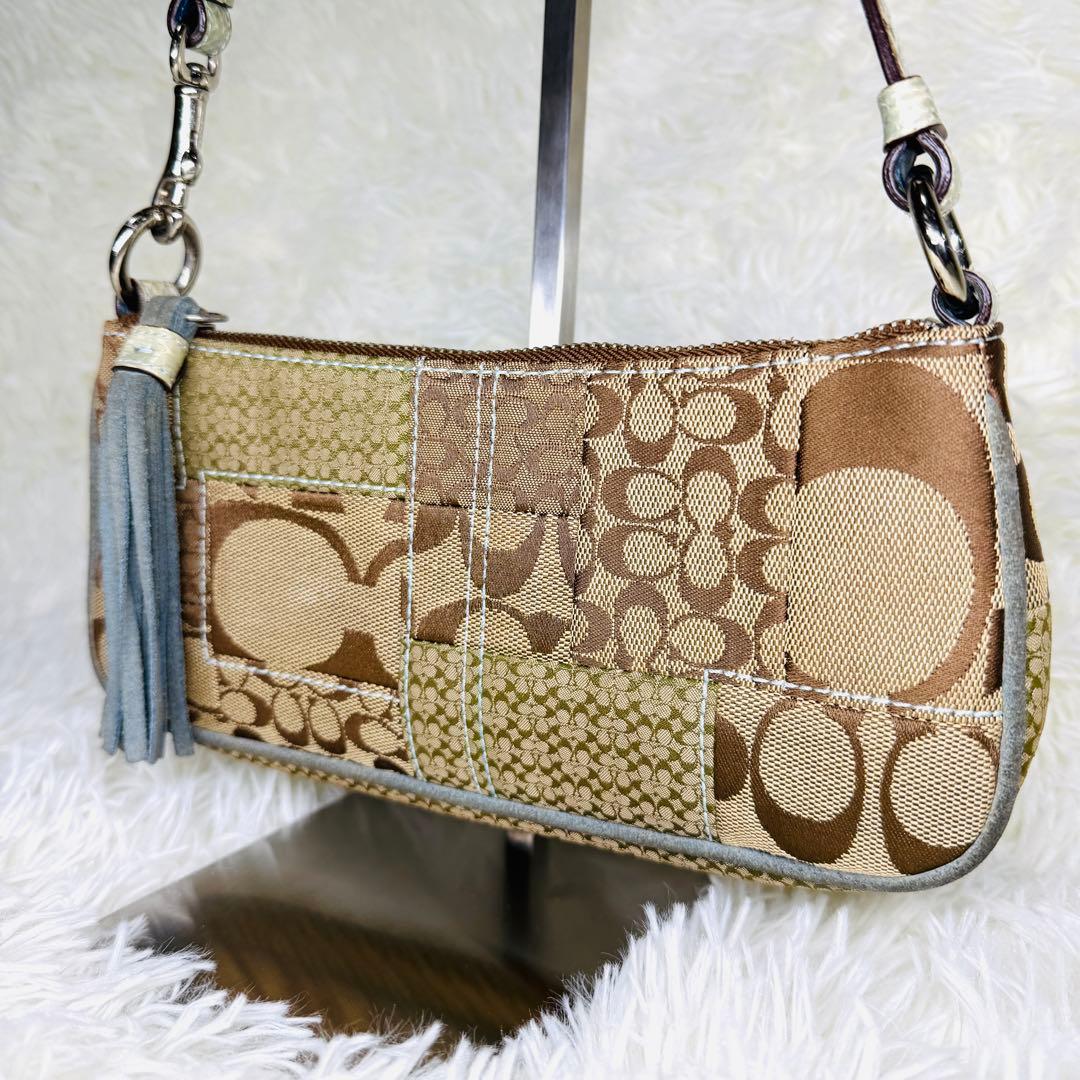 希少 COACH コーチ アクセサリーポーチ エキゾチック ハンドバッグ