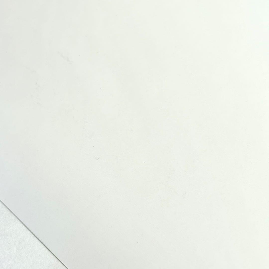 straykids スキズ SKZOO パピーム スンミン 直筆サイン ポスター