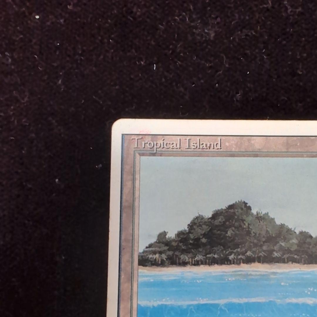 ポ*フ様 MTG　Tropical 　3ED