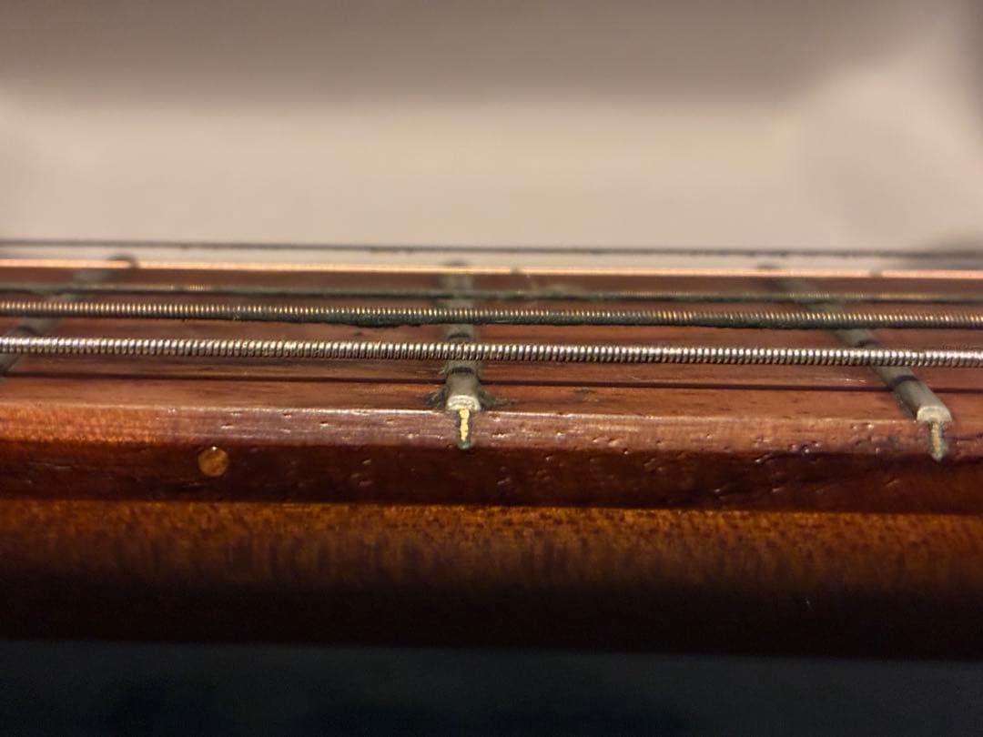 Godhin 5th avenue ゴダン　アーチトップ　アコースティックギター